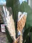 Dried Natural Bunny Tail Grass - 2