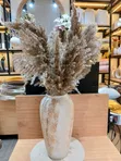 Dried Wild Mini Reed Pampas - 2