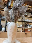 Dried Wild Mini Reed Pampas - 4