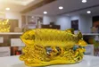 Modern Fish Statue Porcelain Figurine - 1