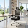 Kiti cha Ofisi cha Ergonomic chenye Headrest na Armrests Zinazoweza Kurekebishwa - 2