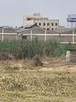 Industrial Land 5 Acres Ruiru Thika Road Behind Dr. Mattress - 5