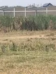 Industrial Land 3 Acres Clay Works Thika Road - 2