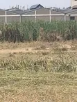 Industrial Land 3 Acres Clay Works Thika Road - 3
