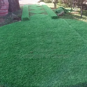 Artificial Grass Carpet for Creative Minds