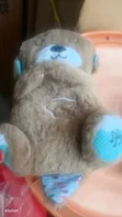 Teddy Bear ya Rangi ya Kahawia - 1