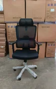 Orthopaedic Office Chair - 1