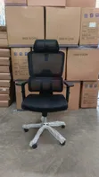 Orthopaedic Office Chair - 2
