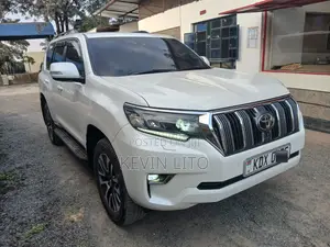 Usafiri Uwanja wa Ndege Mombasa | Dereva Binafsi | Kukodisha Van ya Watu 17