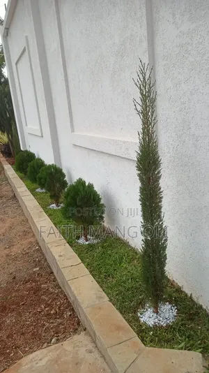 Landscaping and Gardening Services