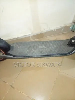 Segway Ninebot Kick Scooter 2022 Gray