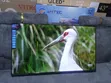 Vitron 40 Inch Whale Smart TV - 3