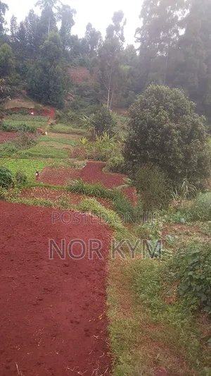 Eneo la Mfugo wa Robo Acre kwa Uuzaji, Mjini Wangige