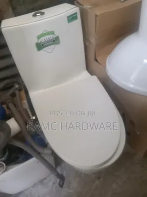 Premier One-Piece Egg Shape Toilet