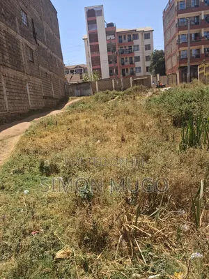 Kiwanja cha Biashara Kahawa Wendani 80x100 chenye Barabara Mbili