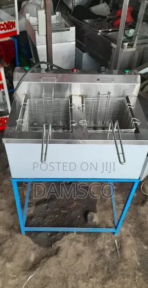 Double Electric Fryer