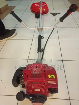 Premier 4-Stroke Petrol Mashine ya Kukata Nyasi