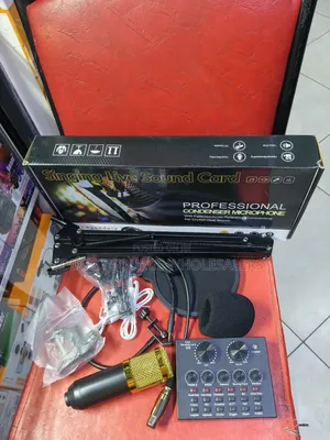 BM-800 Condenser Microphone with V8 Sound Card