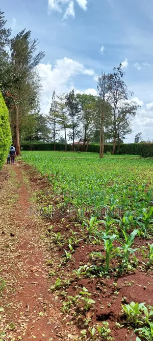 Runda Residential Plot for Sale