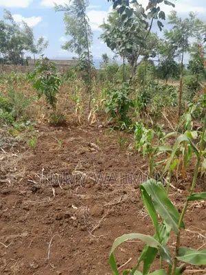 Kiwanja Robo Eka Kiirua Naari (Mita 200 Kutoka Barabara Kuu ya Meru-Nanyuki)