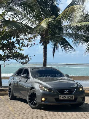 Toyota Mark X 2011 - Kijivu