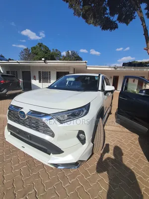 Toyota RAV4 LE AWD 2019 Nyeupe