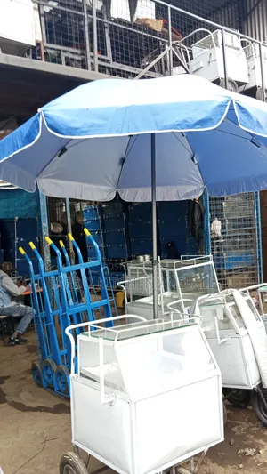 Troli ya Mayai yenye Vigawanyo 3 na Mwavuli