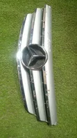 Mercedes-Benz B170 Grille - 2