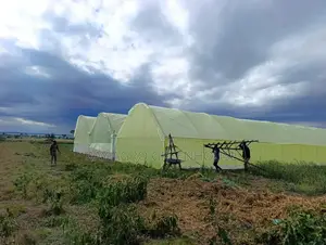 Greenhouse Construction and Farming Solutions