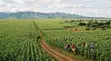 Eneo la Eka 110 kwa Kilimo Nchini Narok - Nkorkorri - 3