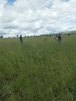 Mixed-use Land for Sale in Kitengela - 3