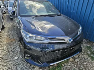 Toyota Axio 2019 Nyeusi