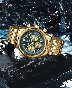 Poedagar Men's Luxury Chronograph Quartz Watch