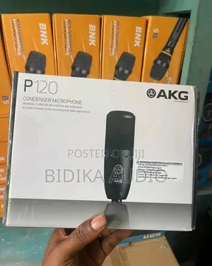 Maiki Asili ya Studio ya Condenser AKG P120