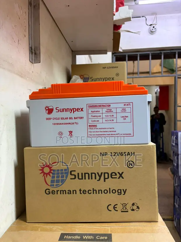 Betri ya Sunnypex NP-12V 65Ah ya Deep Cycle - 1