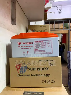 Sunnypex NP-12V 65Ah Deep Cycle Battery