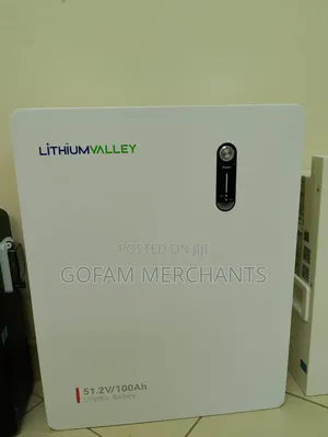 Lithium Valley LV-BAT-W 51.2V 100Ah LiFePO4 Wall Mounted Battery
