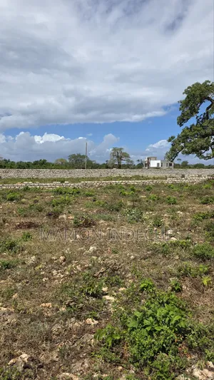 Vipande vya Ardhi vya Diani Prime 50x100ft kwa Mauzo