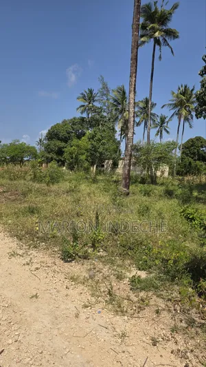 Eneo la Eka 2 kwa Ajili ya Uuzaji Kilifi Tezo
