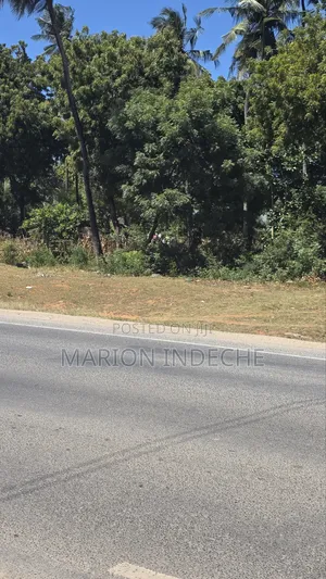 Commercial Plot for Sale - Kilifi Tezo (100x100ft)