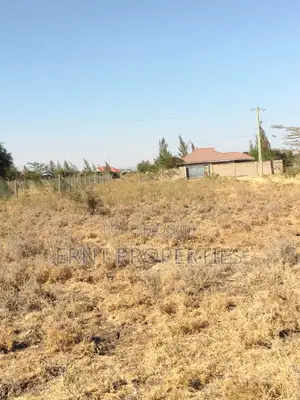 Prime 1/8 Acre Plot in Sucos/Optiven Estate