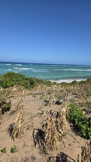 Eneo la Ekari 8 Ufukweni kwa Ajili ya Kuuzwa Kilifi