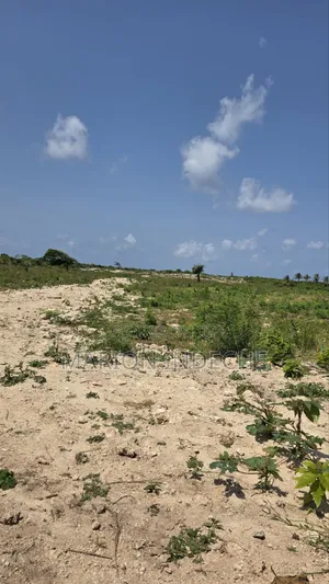 Affordable 50x100ft Beach Plots for Sale in Chumani
