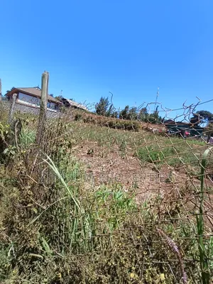 Quarter Acre Land in Ngong