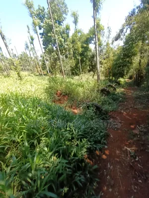 Developed Land 4 Acres in Karen Kalinde