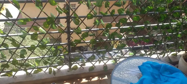 Fensi ya Kupanuka ya Ivy Bandia kwa Faragha - 1