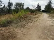 Machakos Junction 100x100ft Land Near Kyumbi Shrine - 4