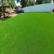 Quality Non Shade Grass Carpets 25mm - 1