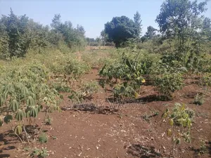 Kiwanja Kinauzwa Murang'a County, Mirira