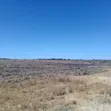 4 Acres Farmland with 300 Goats for Sale in Kitengela - 4